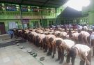 Rutinitas Shalat Djuhur
